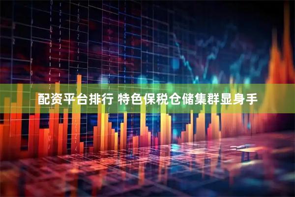 配资平台排行 特色保税仓储集群显身手