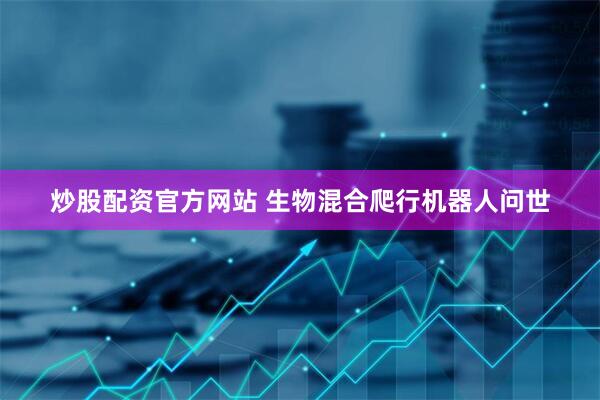 炒股配资官方网站 生物混合爬行机器人问世
