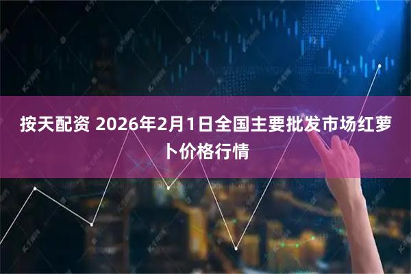 按天配资 2026年2月1日全国主要批发市场红萝卜价格行情