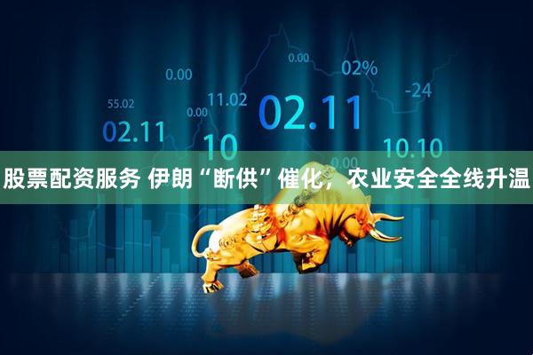 股票配资服务 伊朗“断供”催化，农业安全全线升温