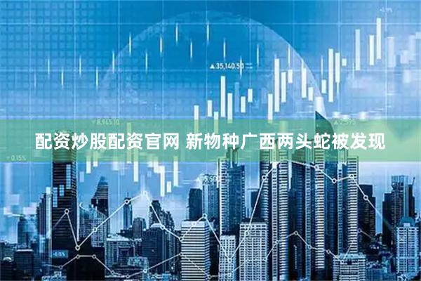 配资炒股配资官网 新物种广西两头蛇被发现